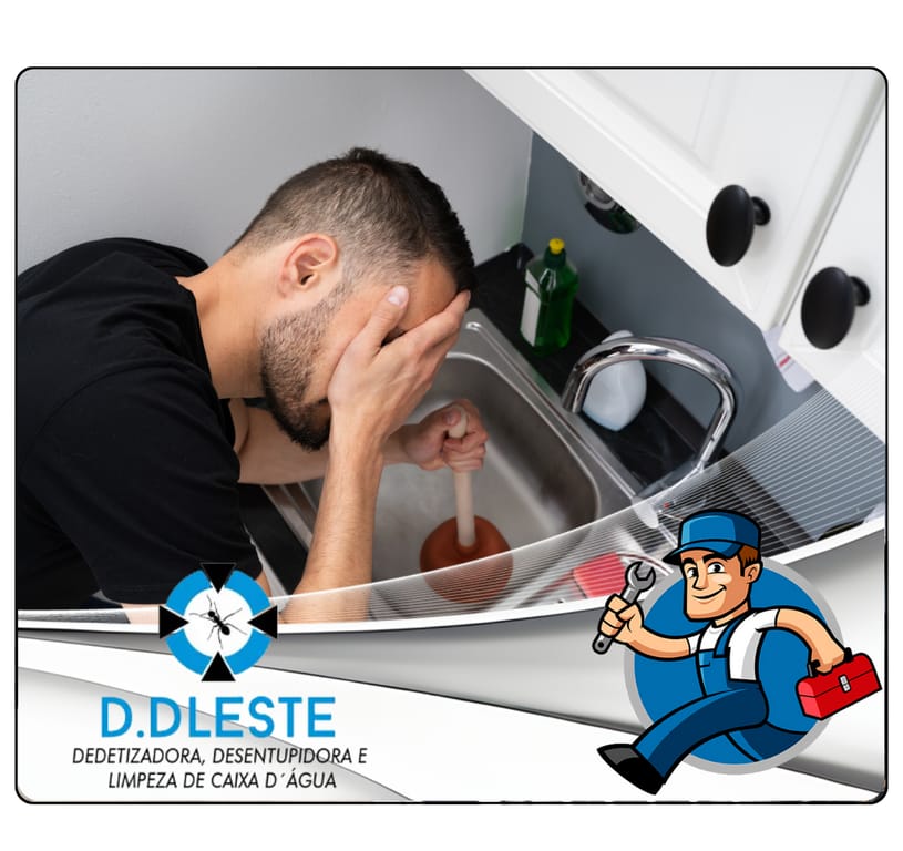 Desentupimento de Pia