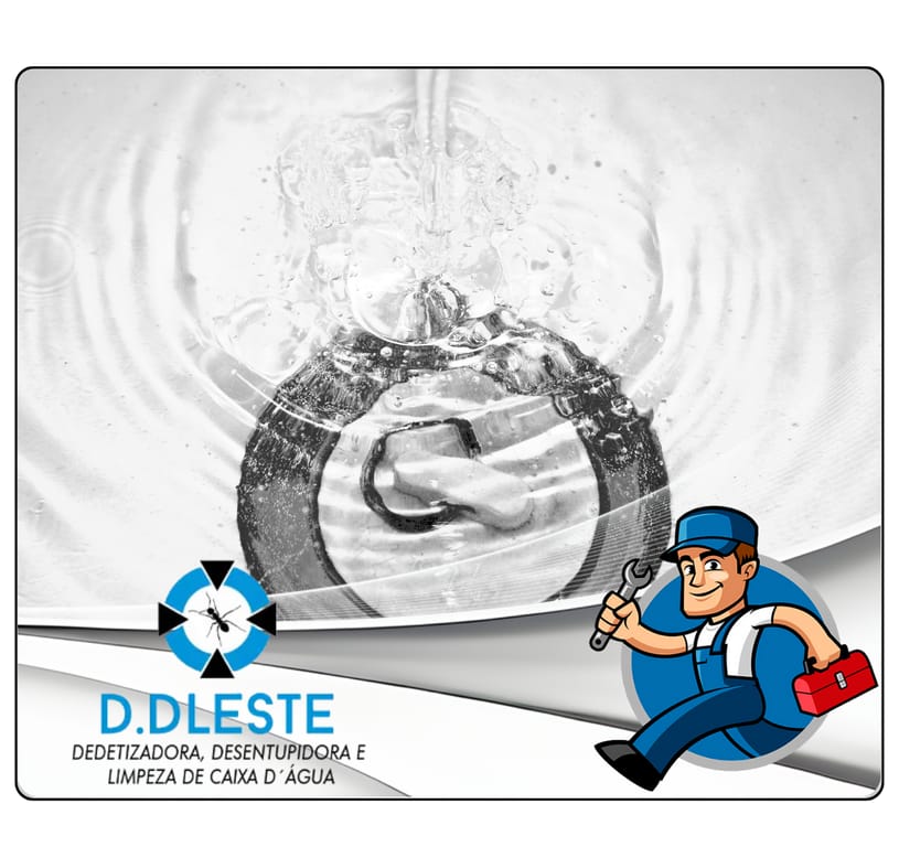 Desentupidora de Ralos